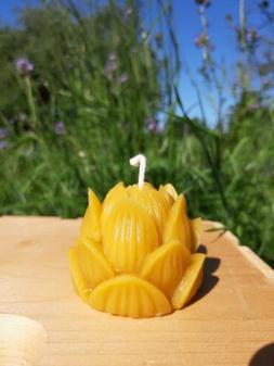 Lotus Flower