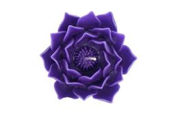 Lotus Blossom Purple Candle 